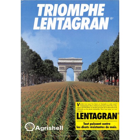 NEGOCE & AGRICULTURE |Premier Numéro