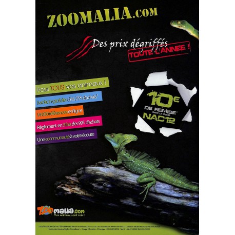 NAC magazine |Premier Numéro