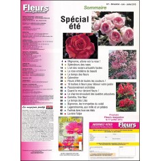 Fleurs magazine |Premier Numéro 2