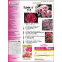 Fleurs magazine |Premier Numéro