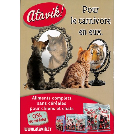 ANIMAUX BONHEUR |Premier Numéro