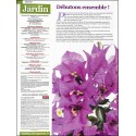 L'ESSENTIEL DU JARDIN |Premier Numéro