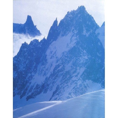 FLAKE |Premier Numéro