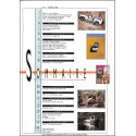 TOUT-TERRAIN magazine |Premier Numéro