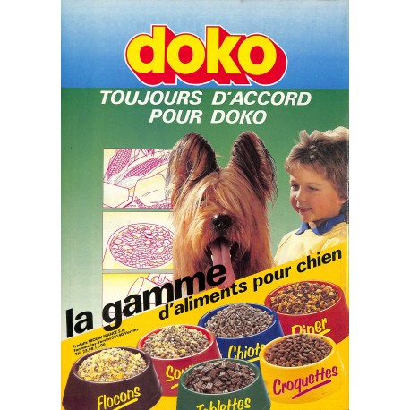 CHIEN ACTUEL |Premier Numéro