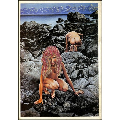 CHRONIQUES TERRIENNES |Premier Numéro