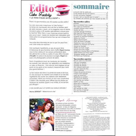 MON ROBOT ce héros cake factory |Premier Numéro