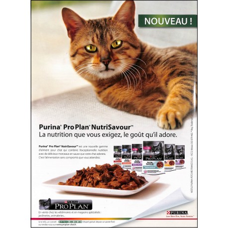 Best of Chats |Premier Numéro