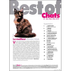 Best of Chats |Premier Numéro 2