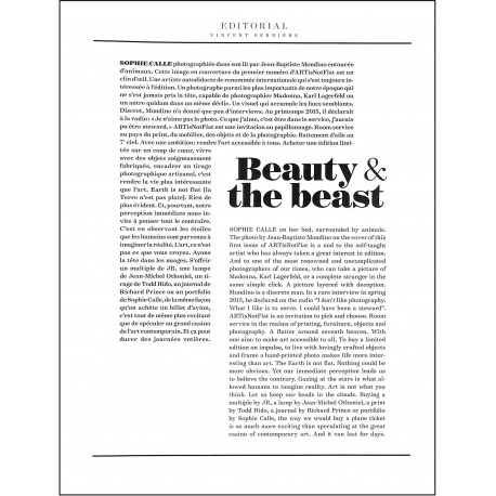 ARTisNotFlat |Premier Numéro