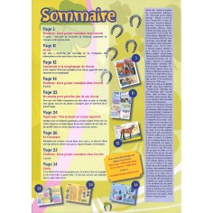 CHEVAL FAN |Premier Numéro 2