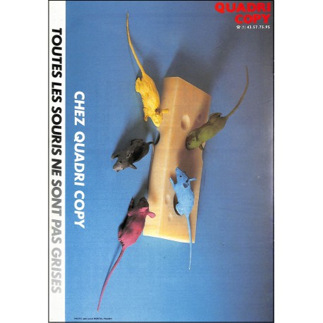 GRAPH ECHOS |Premier Numéro