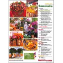 FLEURS & PLANTES |Premier Numéro