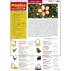 Poules et JARDIN |Premier Numéro 2