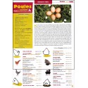 Poules et JARDIN |Premier Numéro