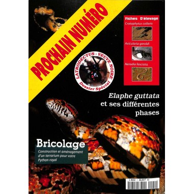 Terrarium |Premier Numéro