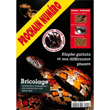 Terrarium |Premier Numéro