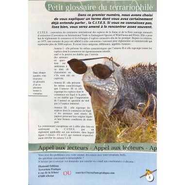 Terrarium |Premier Numéro