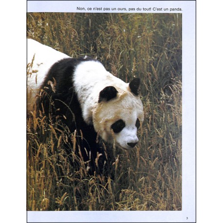 COULICOU |Premier Numéro