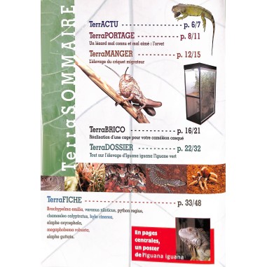 Terrarium |Premier Numéro