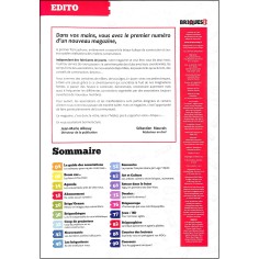 BRIQUES MAG |Premier Numéro 2