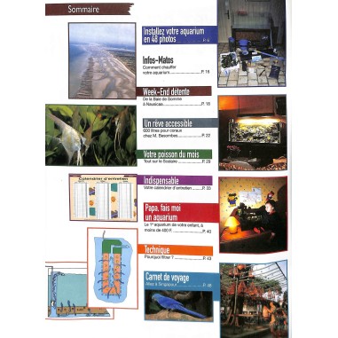 L'aquarium a la maison |Premier Numéro