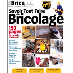 Brico Malin |Premier Numéro