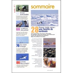 NAUTILUS |Premier Numéro 2