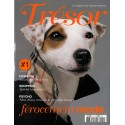 TRÉSOR |Premier Numéro
