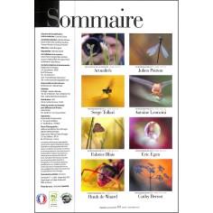 MACRO PHOTOGRAPHIE |Premier Numéro 2