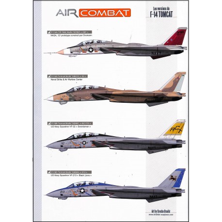 AIR COMBAT |Premier Numéro