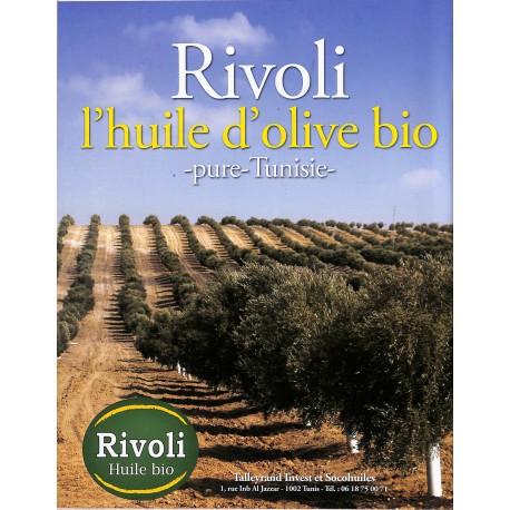 DÉCORATION CRÉATIVE |Premier Numéro