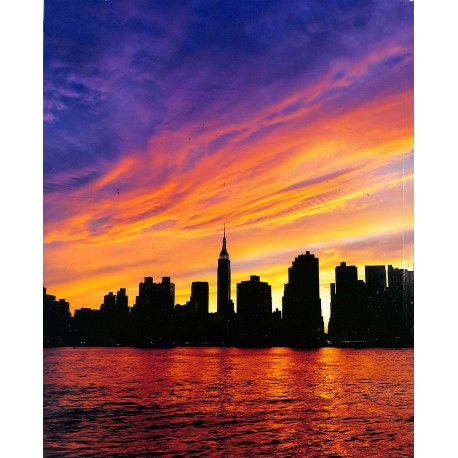 VOYAGE AUX ÉTATS-UNIS |Premier Numéro