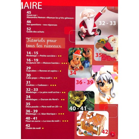 Cake Design |Premier Numéro