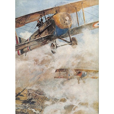 LES CAHIERS DE SCIENCE & VIE |Premier Numéro