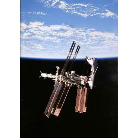 JUNIORS SCIENCES |Premier Numéro