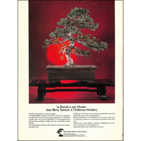 l'univers du bonsaï |Premier Numéro