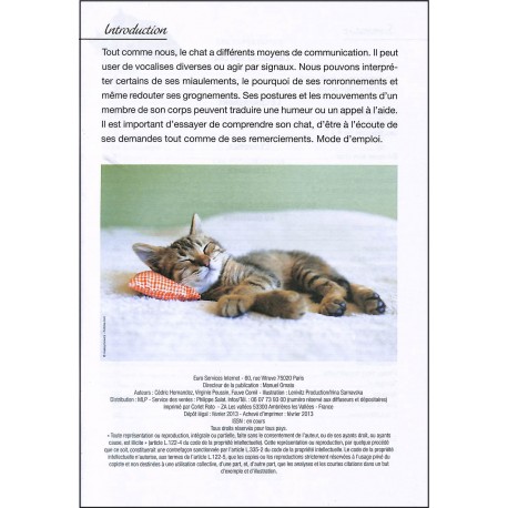 Le langage du chat |Premier Numéro