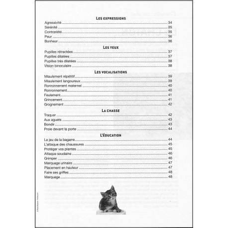 Le langage du chat |Premier Numéro