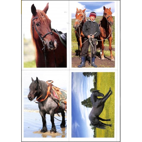 MON CHEVAL |Premier Numéro