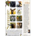 Image & Nature |Premier Numéro