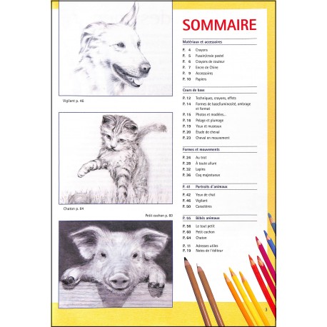 LE DESSIN FACILE |Premier Numéro