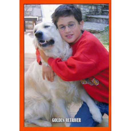 NOS AMIS DE LA MAISON |Premier Numéro