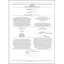 AMUSEMENT |Premier Numéro