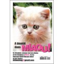 MIAOU! |Premier Numéro