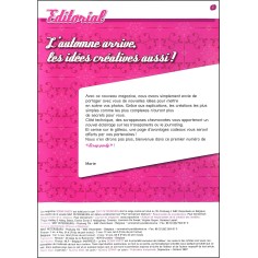 SCRAP PARTY |Premier Numéro 2