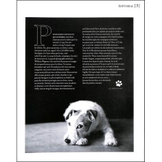 DOGS |Premier Numéro 2