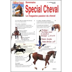 SPÉCIAL CHEVAL |Premier Numéro 2