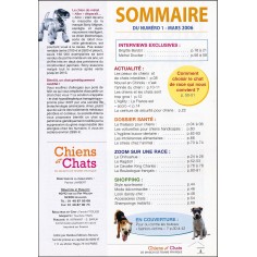 Chiens et Chats |Premier Numéro 2