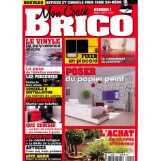 MON COACH BRICO |Premier Numéro